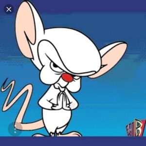 Meet your Posher, Kay